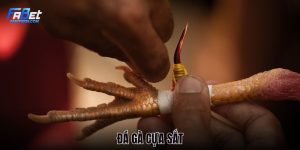 da-ga-cua-sat